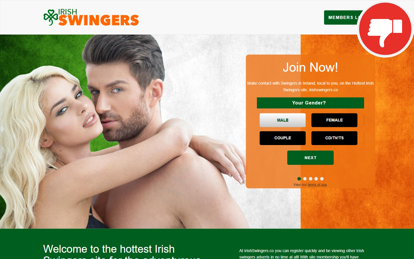 Review IrishSwingers.co Scam