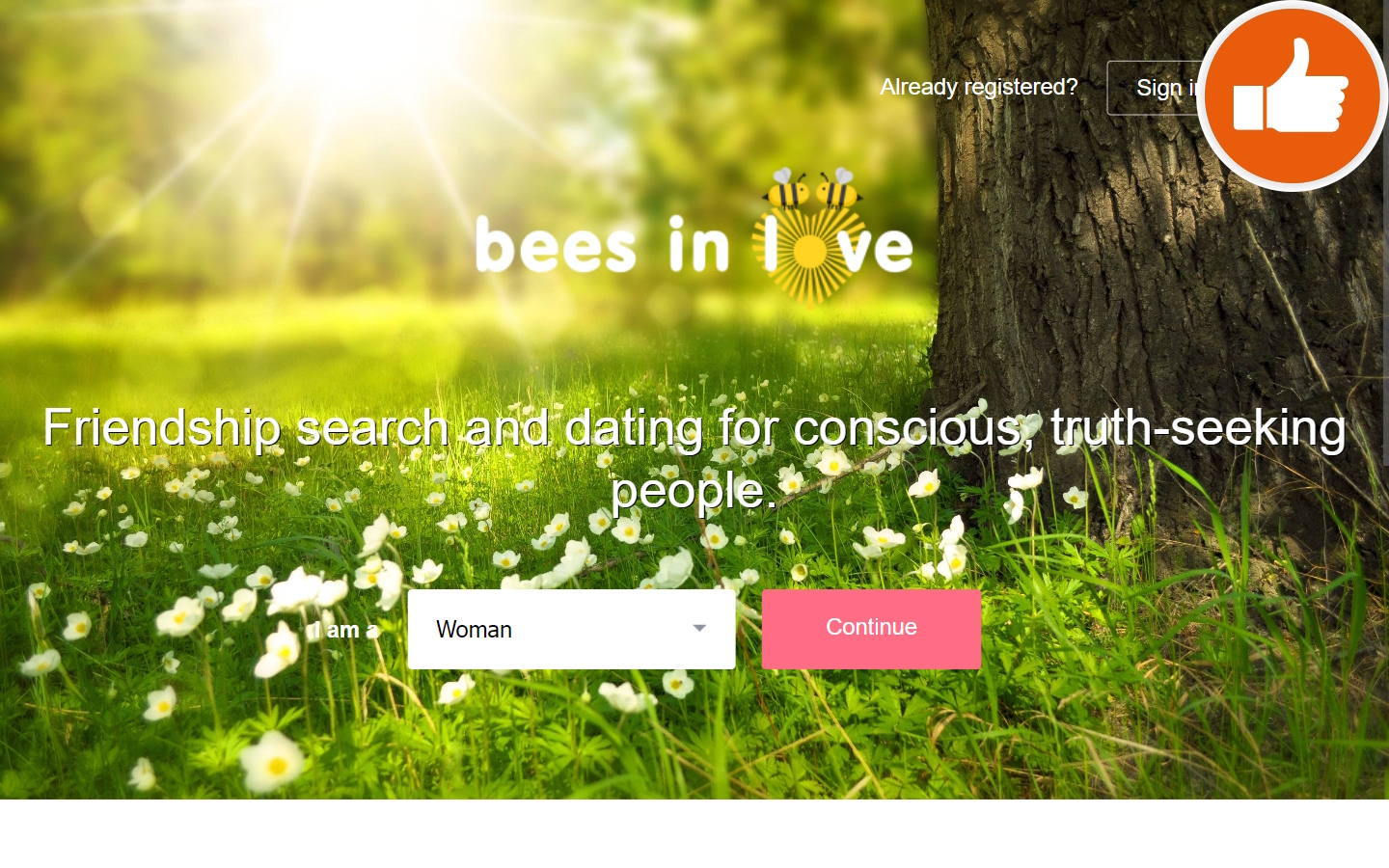 BeesInLove.com review